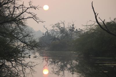 bharatpur sunrise
