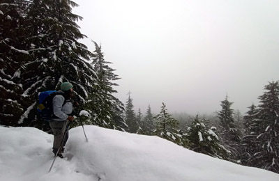 winter on the sunshine coast trail