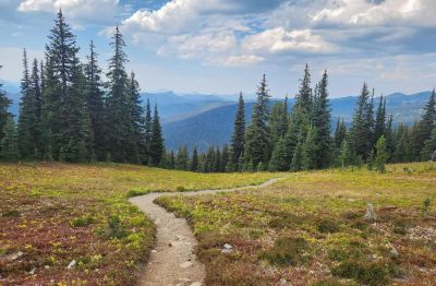 manning park Heather trail 