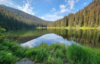 manning park Flash lake