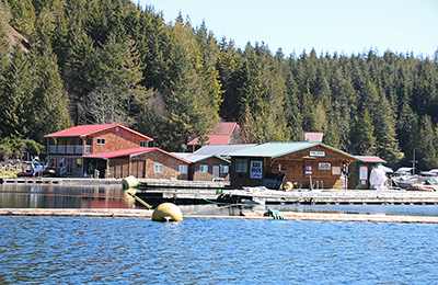 nootka critter cove fishing lodge