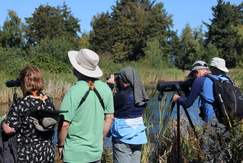 reifel bird sanctuary 