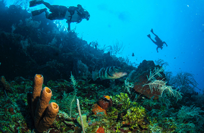 Diving Belize Splash